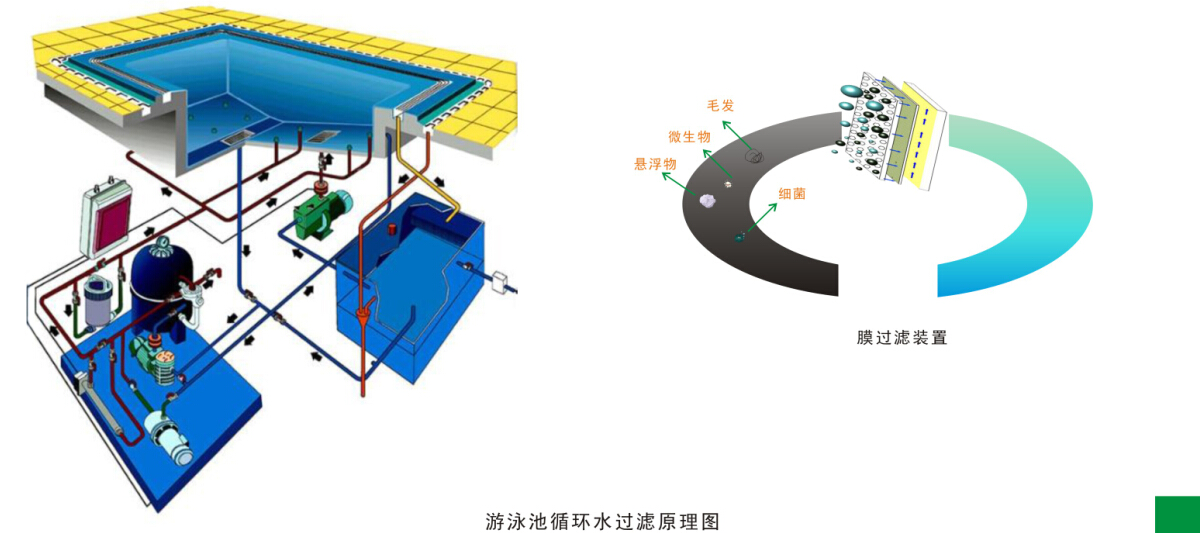 游泳池水循环净(jìng)化处理工程